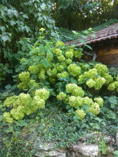 Apartamento Kemenc�s Vend�gh�z