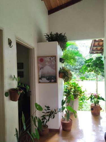 Bed & Breakfast Hospedaria Peregrina