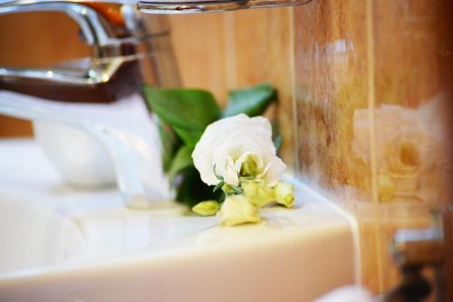 Bed & Breakfast Gyula Wellness Panzi�