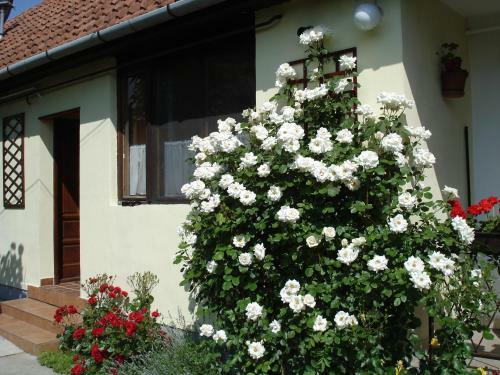 R�zsa Apartman