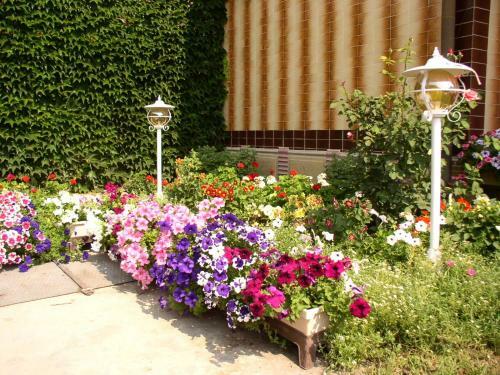 Am�lia Apartman