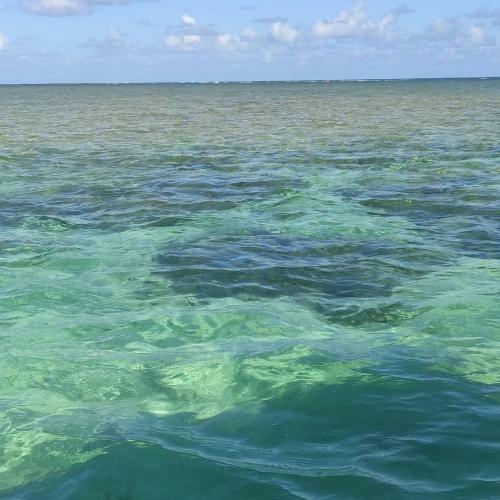 Vista Do Patacho, A 100m Da Praia Do Patacho