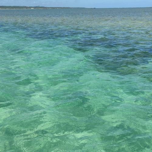 Vista Do Patacho, A 100m Da Praia Do Patacho