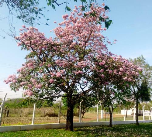 Posada Associa��o Sabesp Presidente Epit�cio