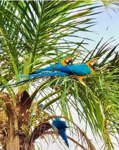 Posada Associa��o Sabesp Presidente Epit�cio