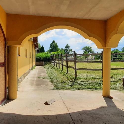 Torony Lovarda Mag�nsz�ll�s