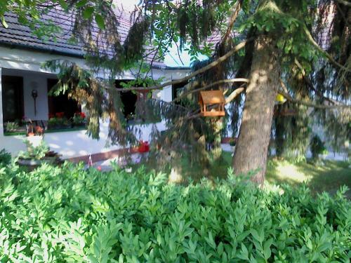 Hostal Vali Vend�gh�z