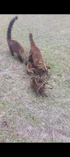 Riviera De S�o Louren�o