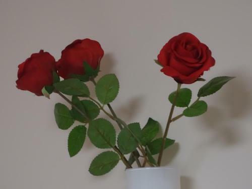 Teleki Apartman Kaposv�r