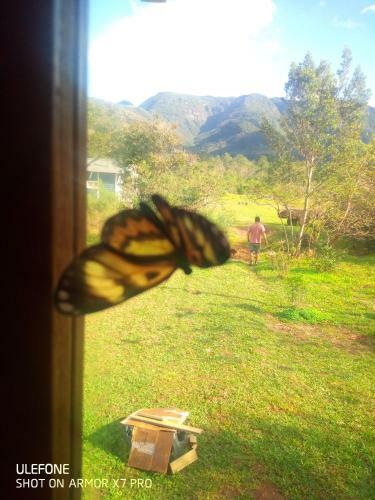 Agroturismo Tinyhousegarden - Silver Coin