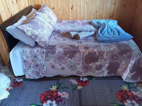 Hostal Chal�s Nascentes Das �guas