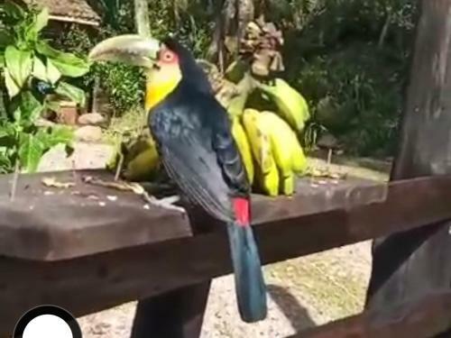 Chal� Espelhado No Itaimbezinho