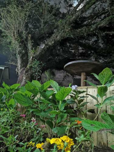 Hostal Loft Nature