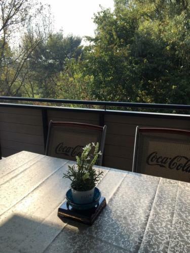 Thermal Forest Apartment