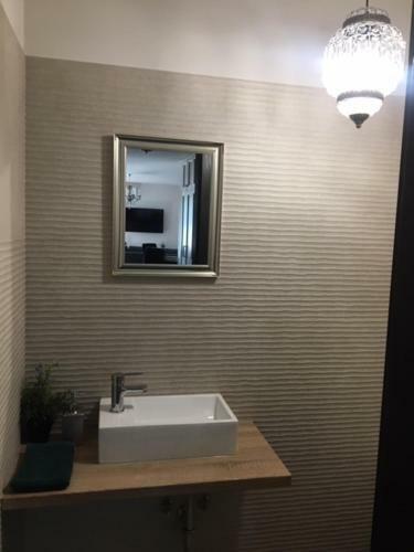 Thermal Forest Apartment