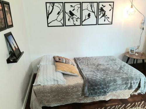 Apartamento Amplo, Aconchegante E Pertinho De Tudo