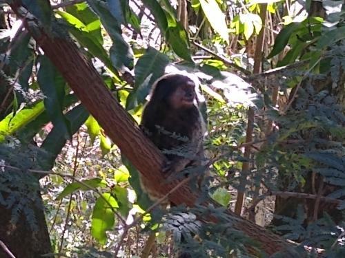 Chacara Rustica A 5km Da Pampulha, Com Internet E Wifi