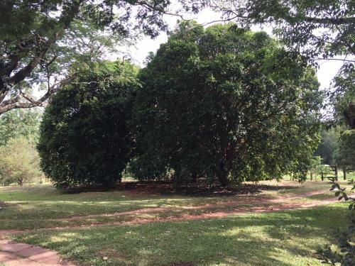 Posada Pousada Fazenda Pinhalzinho