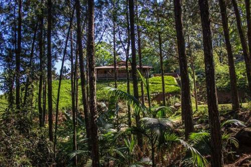 Lodge Pousada Bergen H�tten