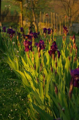 Gites Vall�e D'ossau - Les Jardins Du Cot