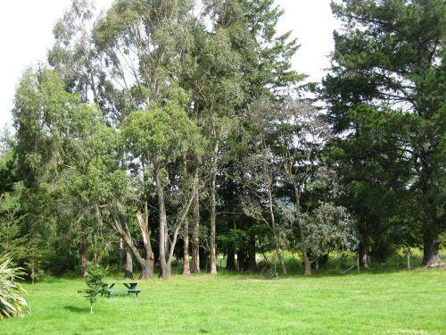 Alpine Holiday Apartments & Campground