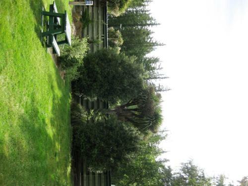 Alpine Holiday Apartments & Campground