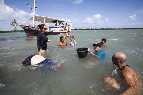 Pipa Centro Casablanca Casa C Piscina
