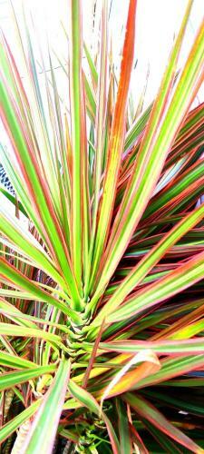 Pipa Centro Casablanca Casa C Piscina