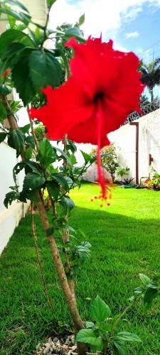 Pipa Centro Casablanca Casa C Piscina