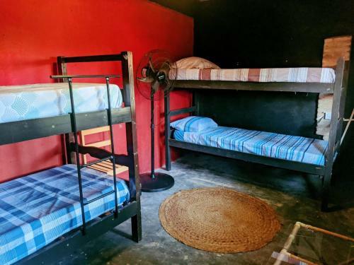 La Casa De Papel Hostel