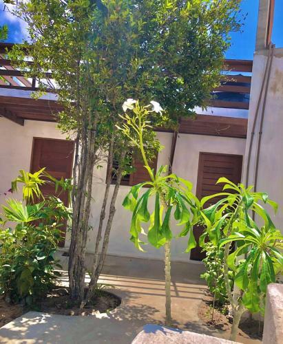 Apartamento Khayatlife Pipa