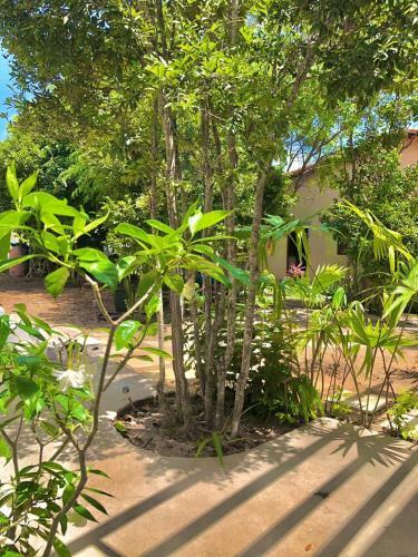 Apartamento Khayatlife Pipa