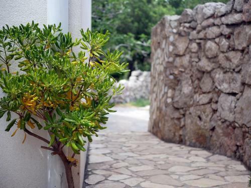 Apartment Gaga And Nia