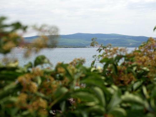 Apartment Gaga And Nia