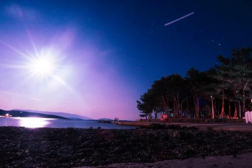 Apartment Gaga And Nia