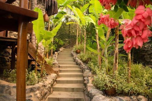 Hostel La Isla