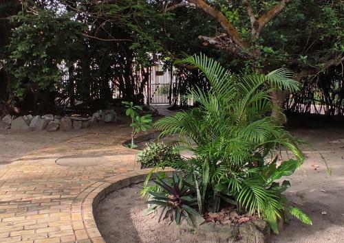 Casa Cajueiro Em Pipa