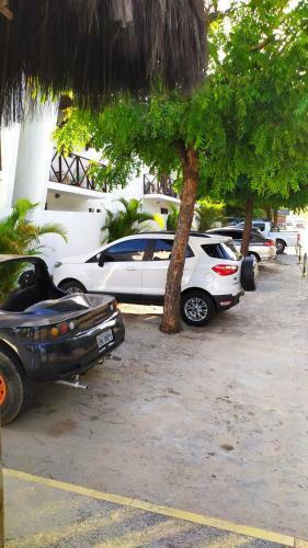 Apartamento Flat Recanto Dos Golfinhos Em Pipa