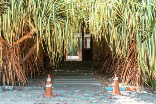 Apartamento Pipa Casa Do Bosque