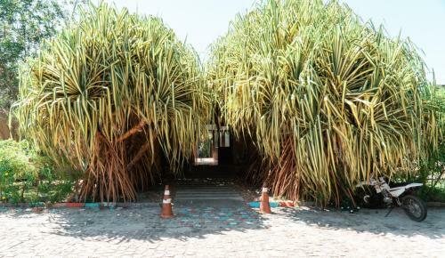 Apartamento Pipa Casa Do Bosque