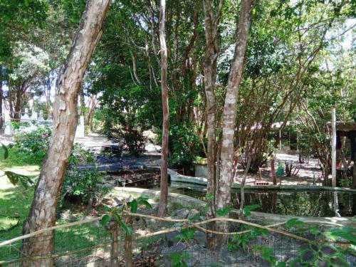 Apartamento Go Pipa - Apto Com Ar