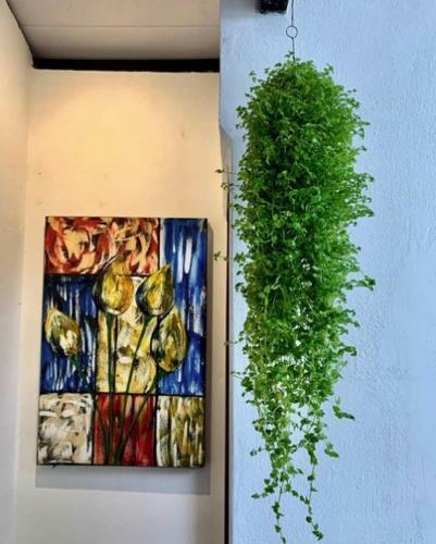Hotel Chal� Bem-te-vis