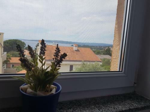 Apartman Noel
