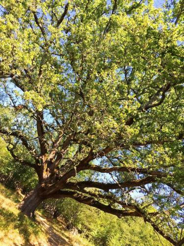 Seaside Vacation Rental 4tuna