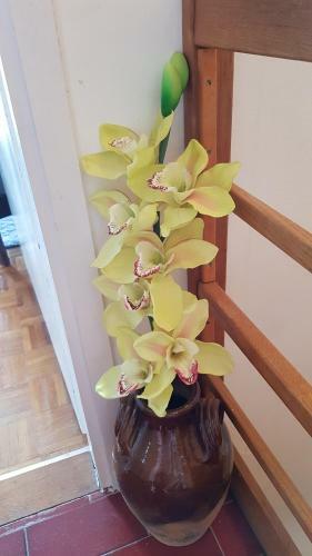 Apartman-maja-krk