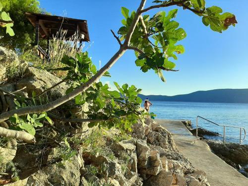 Apartment In Krk/insel Krk 36795