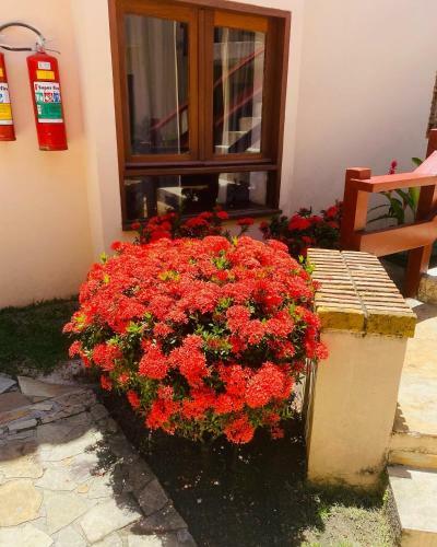 Apartamento Vamos Villa Aurora