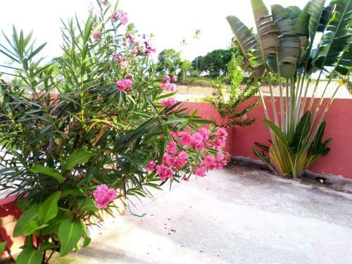 Apartamento Residencial Vista Mar II