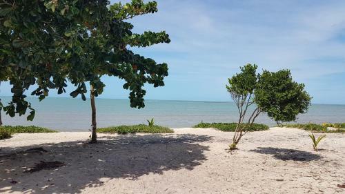 Apartamento Ondas Praia Resort