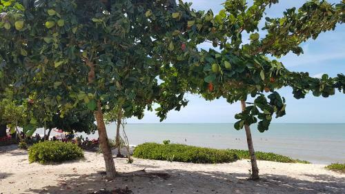 Apartamento Ondas Praia Resort